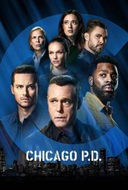 Chicago P.D. - Distrito 21 9ª Temporada Torrent (2020) Dual Áudio / Legendado WEB-DL 720p | 1080p – Download