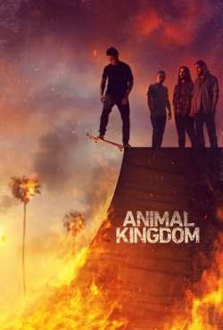 Animal Kingdom 6ª Temporada Torrent
