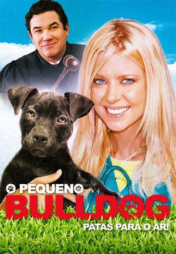 O Pequeno Bulldog Torrent (2020) Dublado WEB-DL 1080p